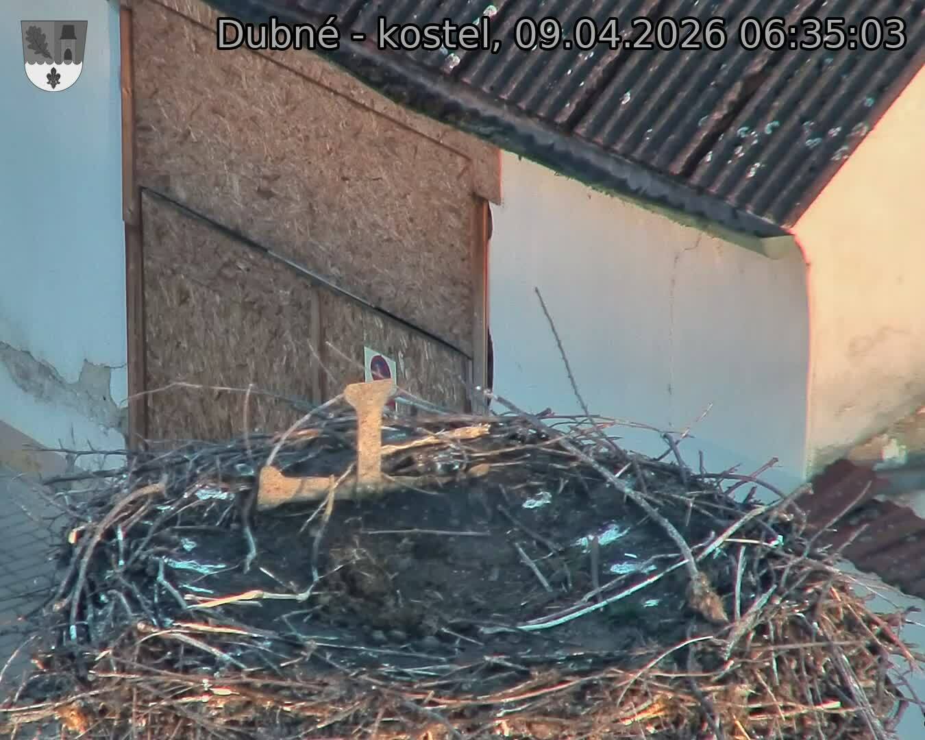 Capi_Dubne_20260409_063503.jpg (1350&nbsp;x&nbsp;1080)