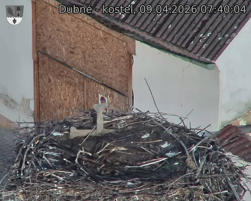 Capi_Dubne_20260409_074004.jpg (1350&nbsp;x&nbsp;1080)