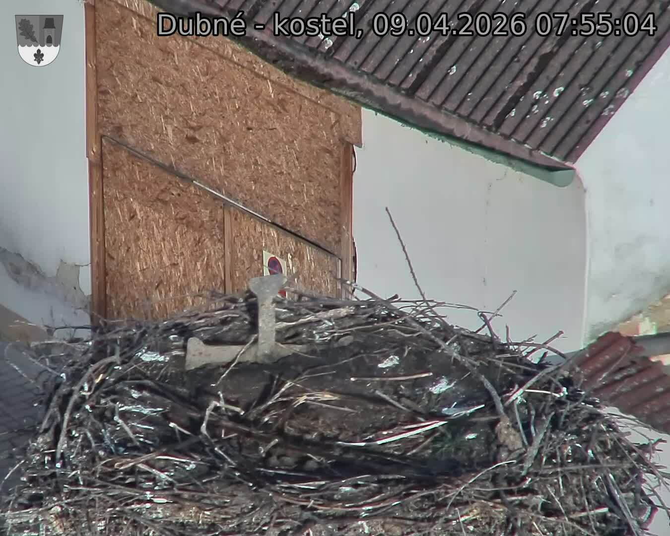 Capi_Dubne_20260409_075504.jpg (1350&nbsp;x&nbsp;1080)