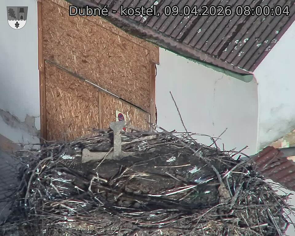 Capi_Dubne_20260409_080004.jpg (1350&nbsp;x&nbsp;1080)