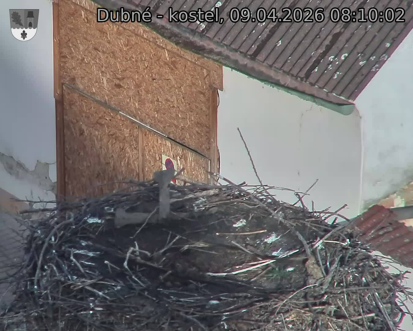 Capi_Dubne_20260409_081002.jpg (1350&nbsp;x&nbsp;1080)