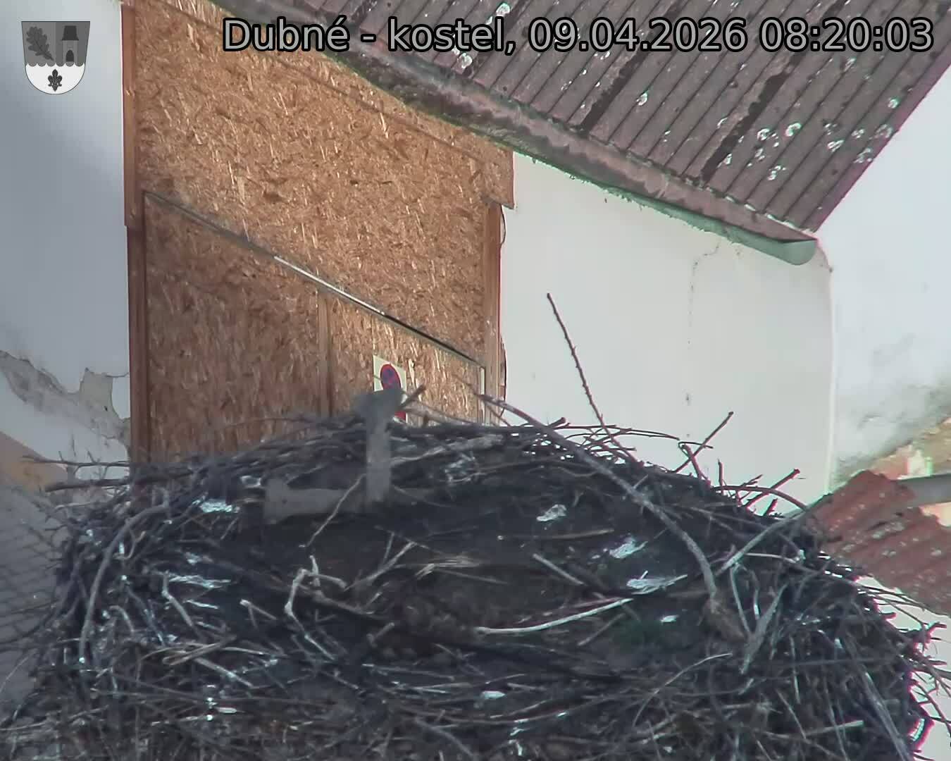 Capi_Dubne_20260409_082003.jpg (1350&nbsp;x&nbsp;1080)