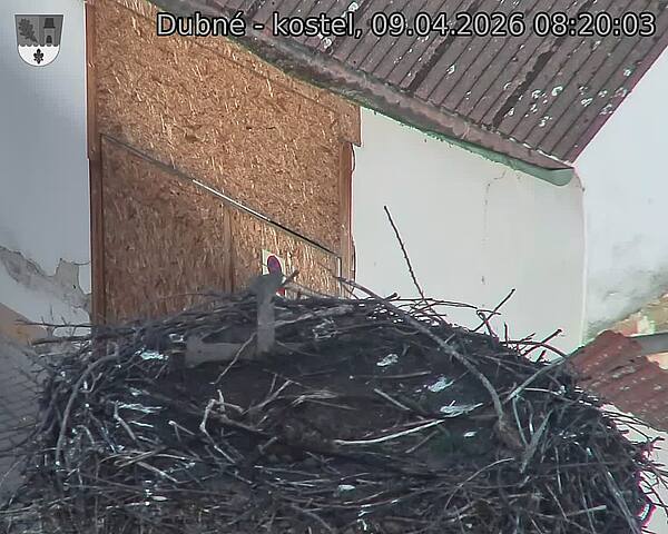 Capi_Dubne_20260409_082003.jpg (1350&nbsp;x&nbsp;1080)