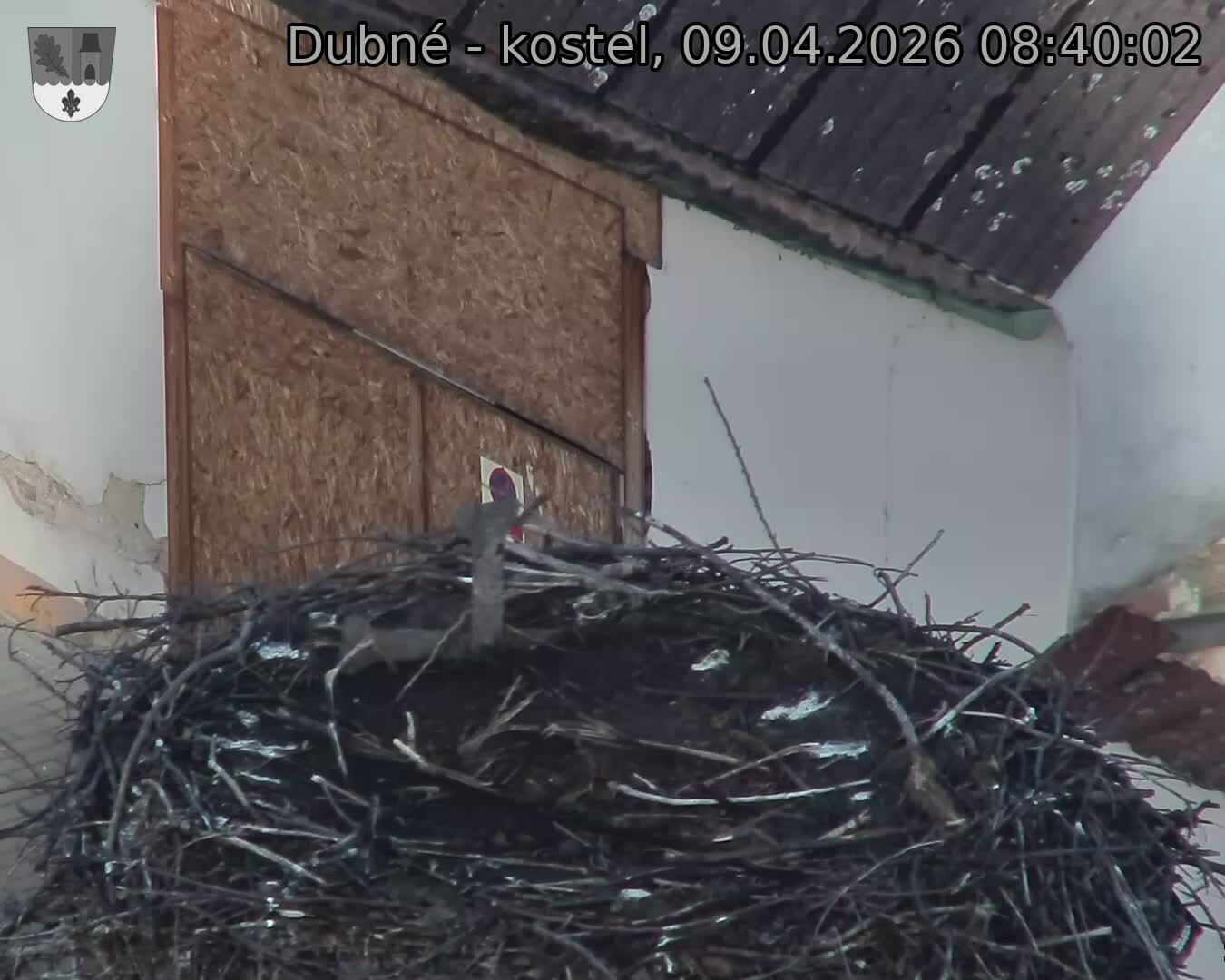 Capi_Dubne_20260409_084002.jpg (1350&nbsp;x&nbsp;1080)