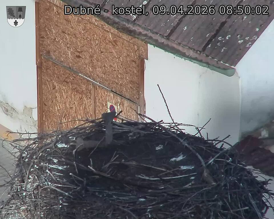 Capi_Dubne_20260409_085002.jpg (1350&nbsp;x&nbsp;1080)