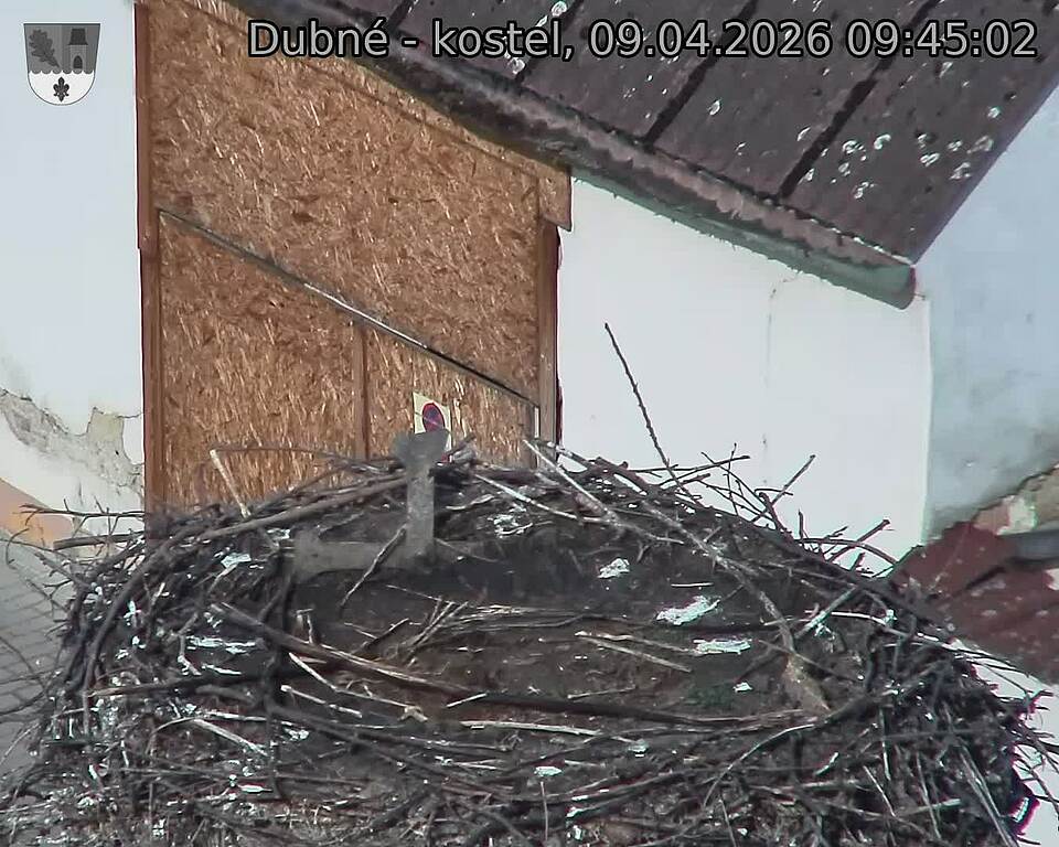 Capi_Dubne_20260409_094502.jpg (1350&nbsp;x&nbsp;1080)