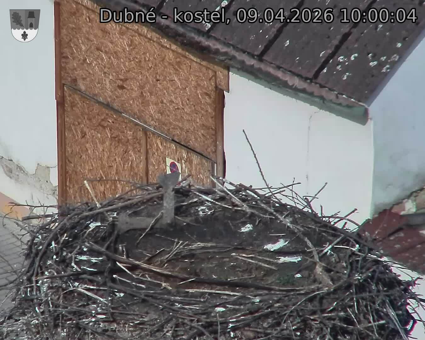 Capi_Dubne_20260409_100004.jpg (1350&nbsp;x&nbsp;1080)