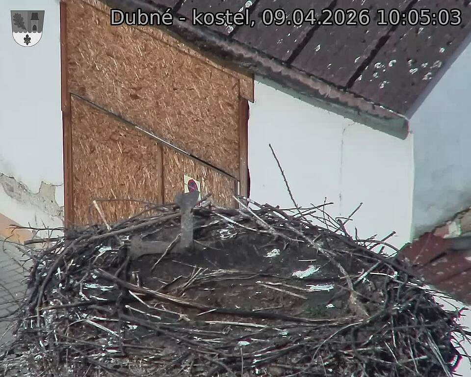 Capi_Dubne_20260409_100503.jpg (1350&nbsp;x&nbsp;1080)