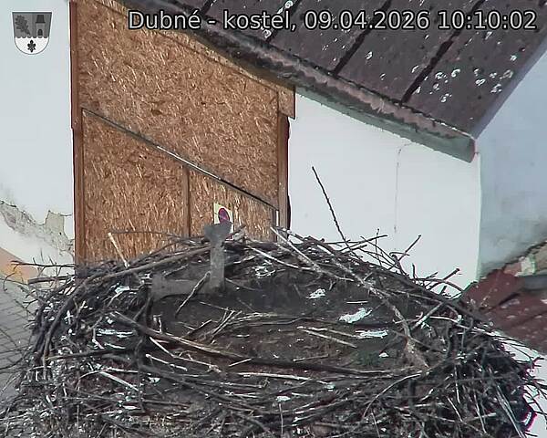 Capi_Dubne_20260409_101002.jpg (1350&nbsp;x&nbsp;1080)