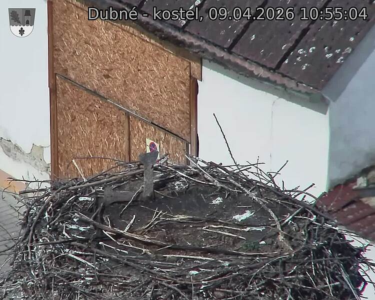 Capi_Dubne_20260409_105504.jpg (1350&nbsp;x&nbsp;1080)