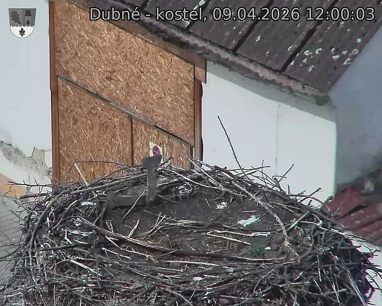 Capi_Dubne_20260409_120003.jpg (1350&nbsp;x&nbsp;1080)