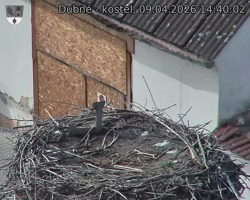 Capi_Dubne_20260409_144002.jpg (1350&nbsp;x&nbsp;1080)