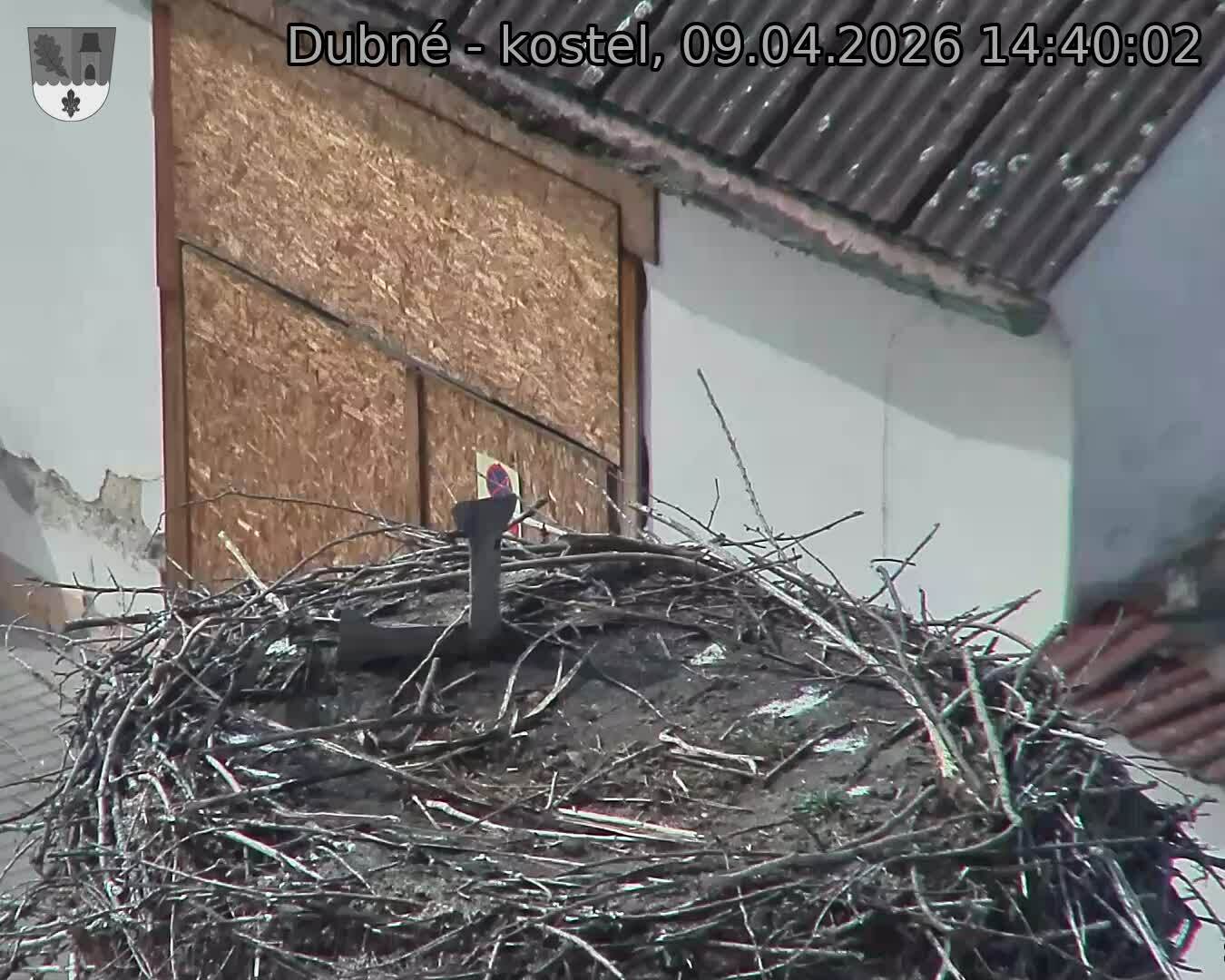 Capi_Dubne_20260409_144002.jpg (1350&nbsp;x&nbsp;1080)