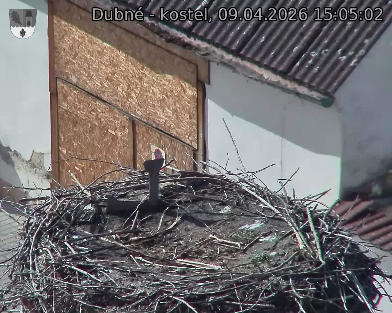 Capi_Dubne_20260409_150502.jpg (1350&nbsp;x&nbsp;1080)