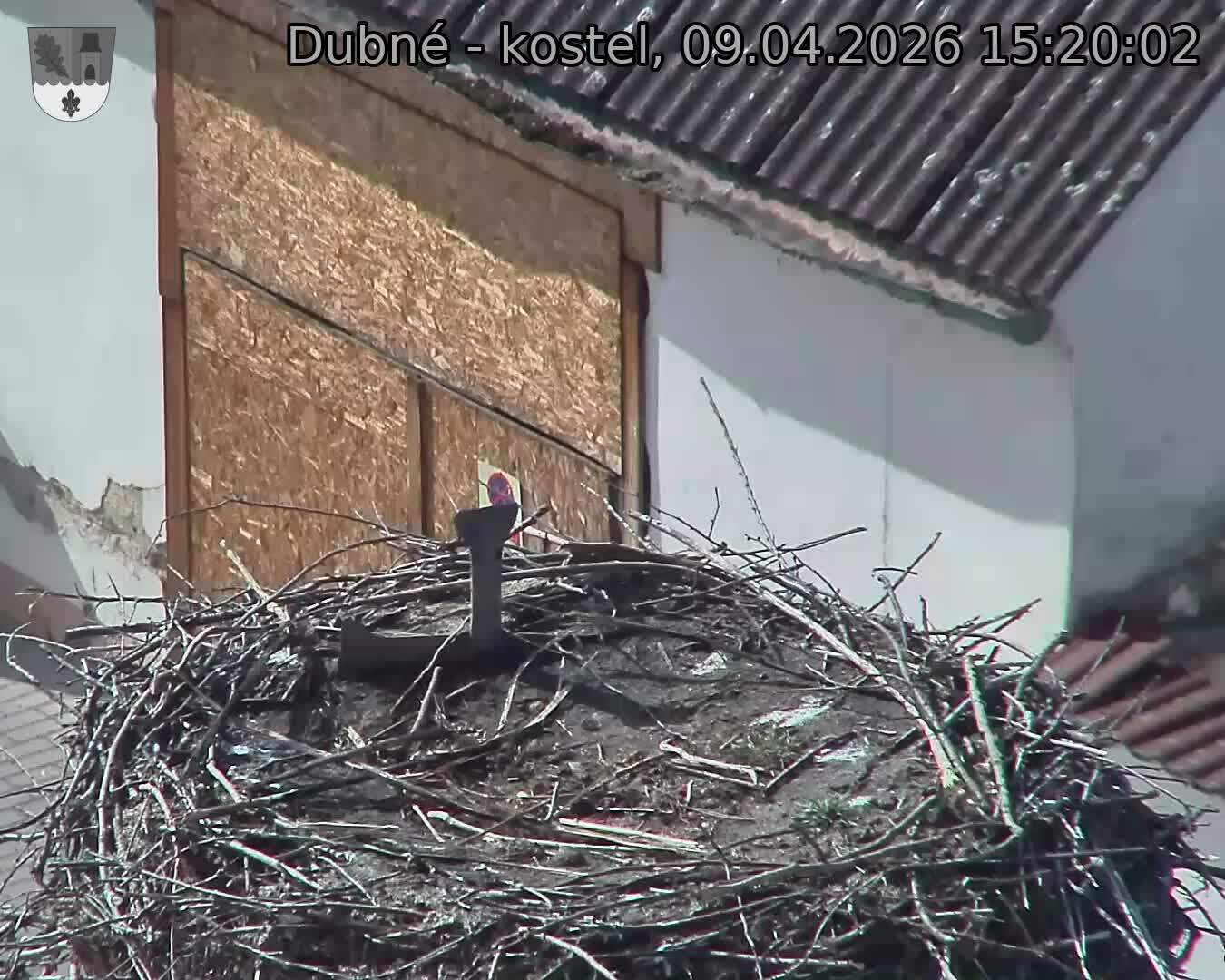 Capi_Dubne_20260409_152002.jpg (1350&nbsp;x&nbsp;1080)