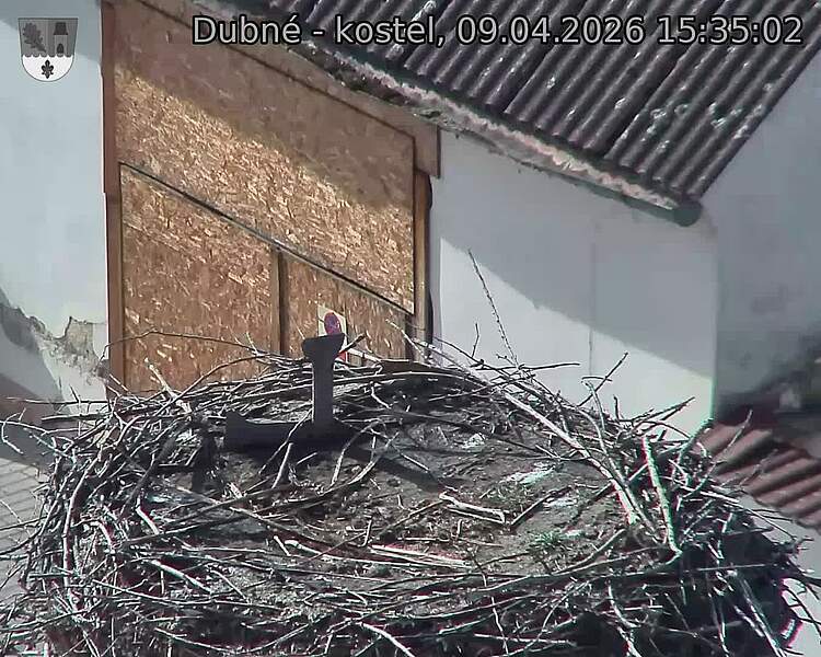 Capi_Dubne_20260409_153502.jpg (1350&nbsp;x&nbsp;1080)