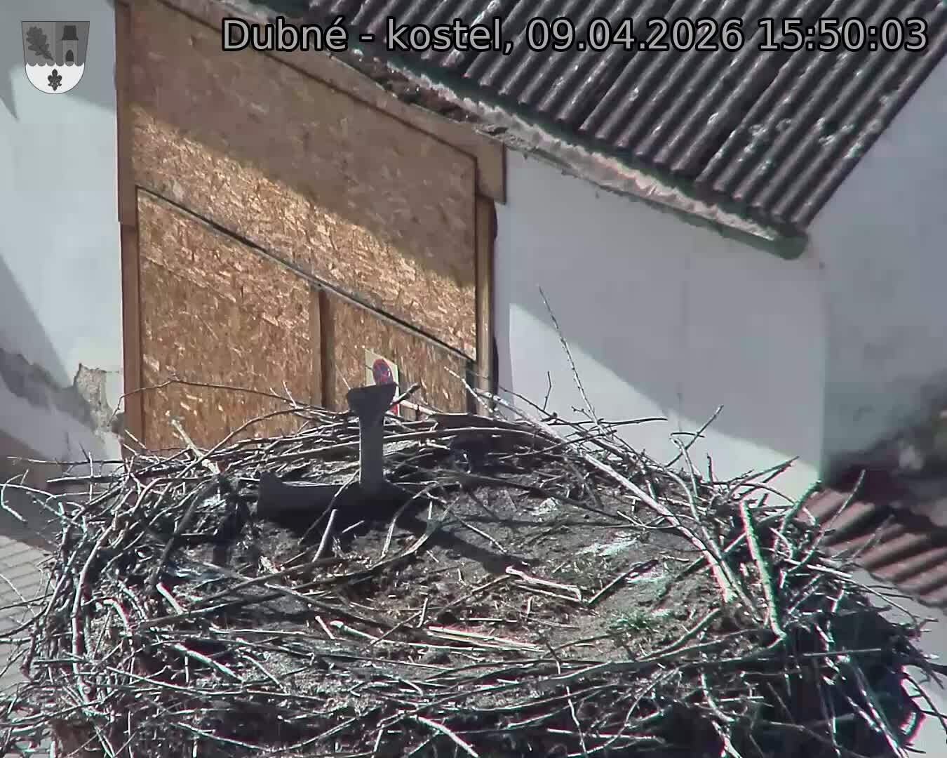 Capi_Dubne_20260409_155003.jpg (1350&nbsp;x&nbsp;1080)