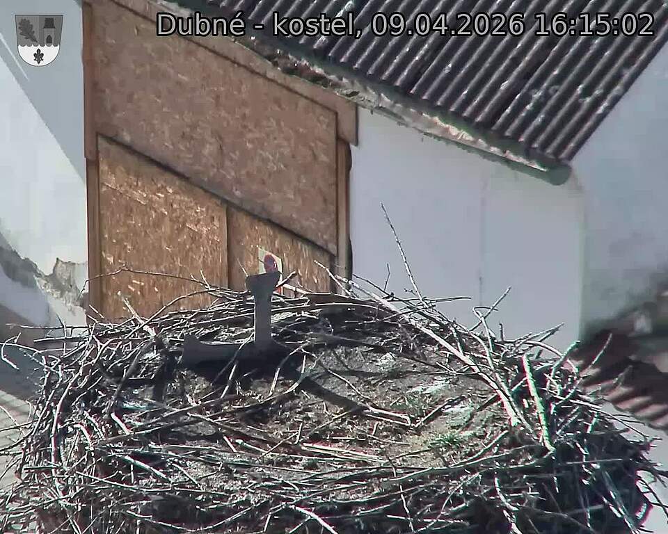 Capi_Dubne_20260409_161502.jpg (1350&nbsp;x&nbsp;1080)