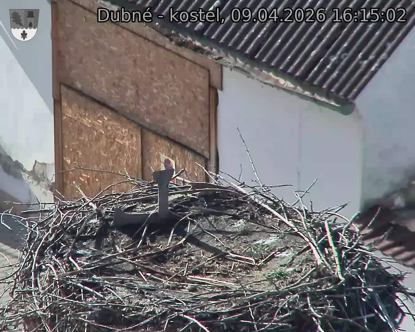 Capi_Dubne_20260409_161502.jpg (1350&nbsp;x&nbsp;1080)