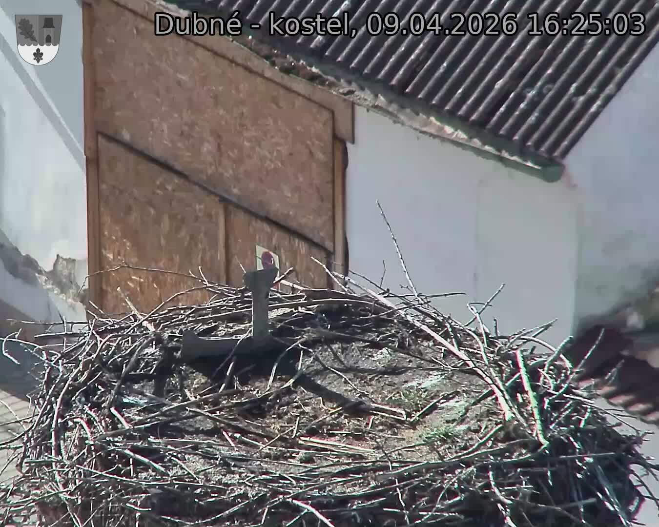 Capi_Dubne_20260409_162503.jpg (1350&nbsp;x&nbsp;1080)