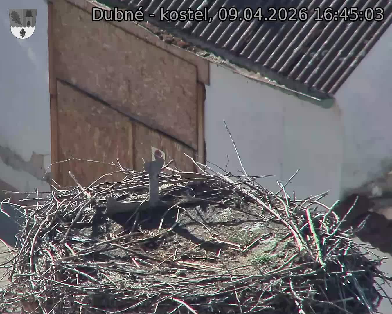 Capi_Dubne_20260409_164503.jpg (1350&nbsp;x&nbsp;1080)