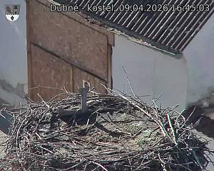 Capi_Dubne_20260409_164503.jpg (1350&nbsp;x&nbsp;1080)