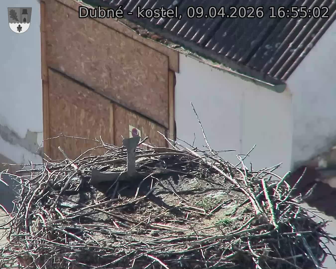 Capi_Dubne_20260409_165502.jpg (1350&nbsp;x&nbsp;1080)