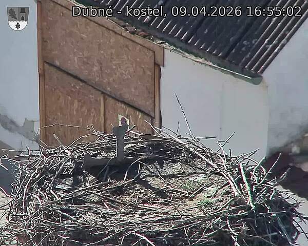 Capi_Dubne_20260409_165502.jpg (1350&nbsp;x&nbsp;1080)