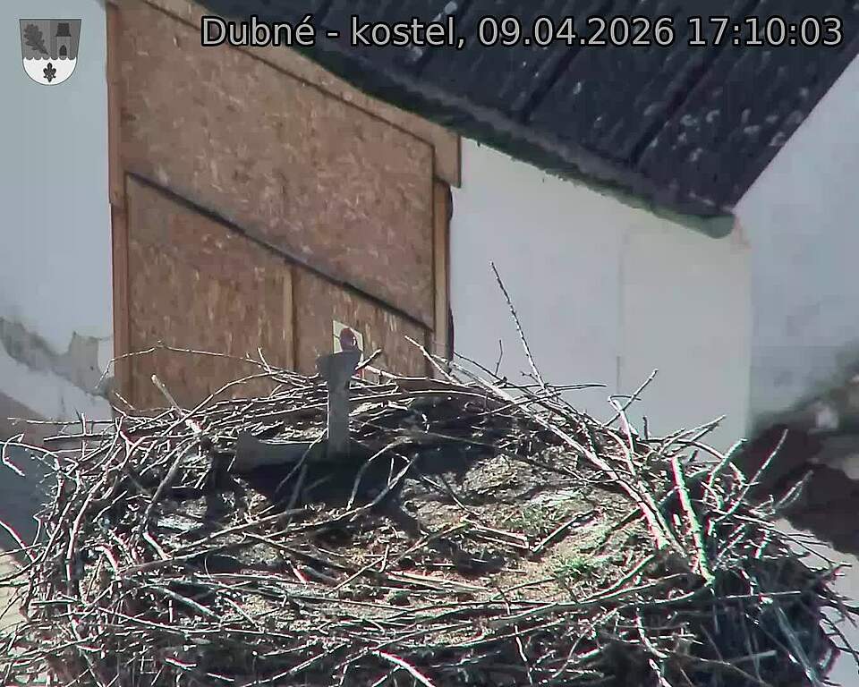 Capi_Dubne_20260409_171003.jpg (1350&nbsp;x&nbsp;1080)