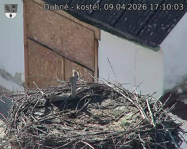 Capi_Dubne_20260409_171003.jpg (1350&nbsp;x&nbsp;1080)