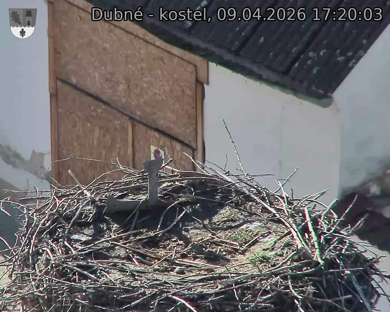 Capi_Dubne_20260409_172003.jpg (1350&nbsp;x&nbsp;1080)