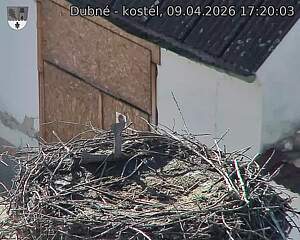 Capi_Dubne_20260409_172003.jpg (1350&nbsp;x&nbsp;1080)