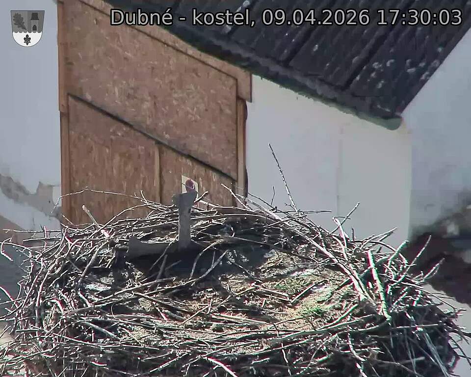 Capi_Dubne_20260409_173003.jpg (1350&nbsp;x&nbsp;1080)