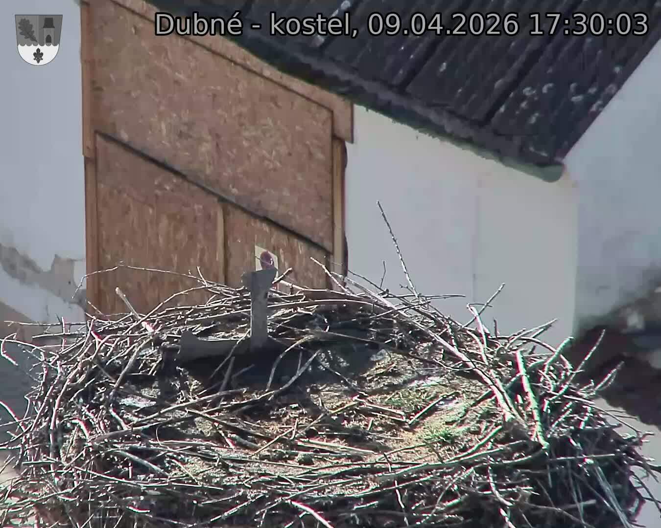 Capi_Dubne_20260409_173003.jpg (1350&nbsp;x&nbsp;1080)