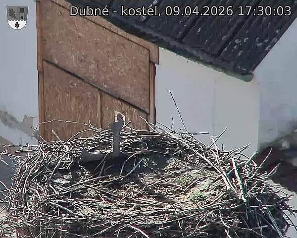 Capi_Dubne_20260409_173003.jpg (1350&nbsp;x&nbsp;1080)