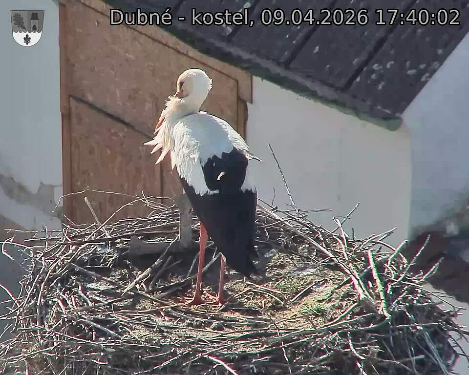 Capi_Dubne_20260409_174002.jpg (1350&nbsp;x&nbsp;1080)