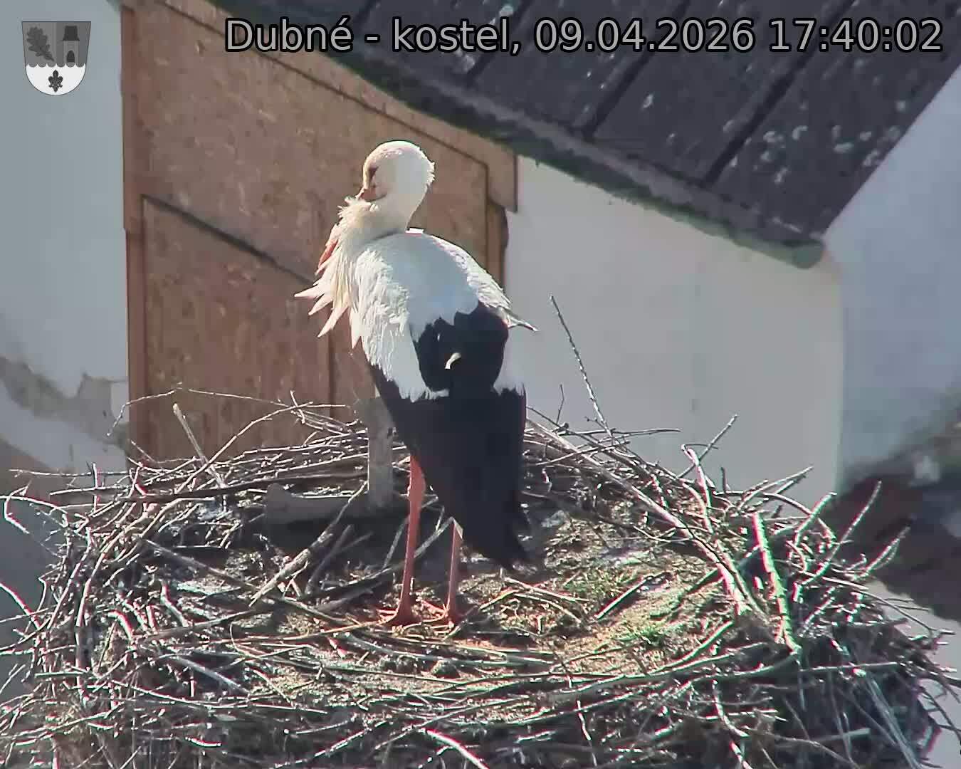 Capi_Dubne_20260409_174002.jpg (1350&nbsp;x&nbsp;1080)