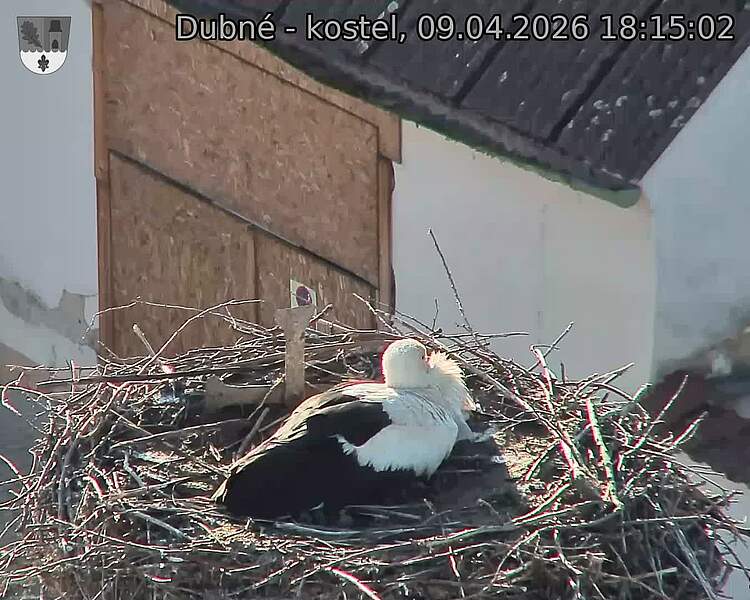 Capi_Dubne_20260409_181502.jpg (1350&nbsp;x&nbsp;1080)