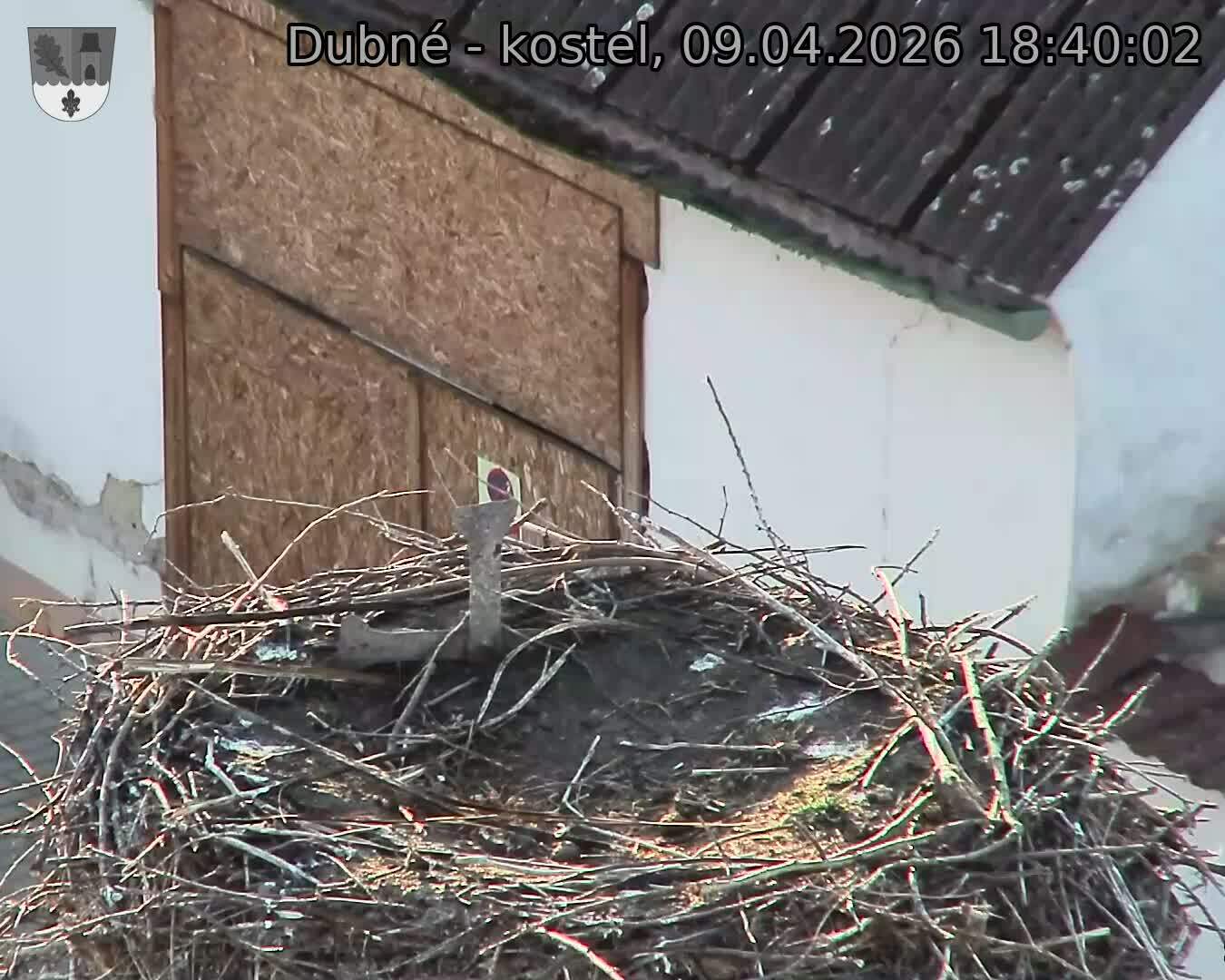 Capi_Dubne_20260409_184002.jpg (1350&nbsp;x&nbsp;1080)