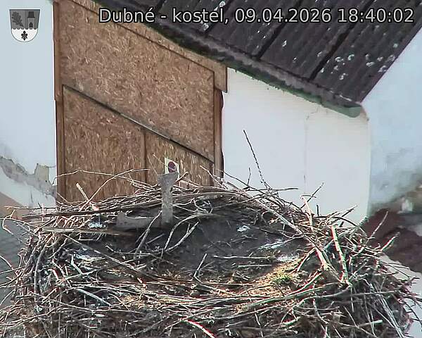 Capi_Dubne_20260409_184002.jpg (1350&nbsp;x&nbsp;1080)