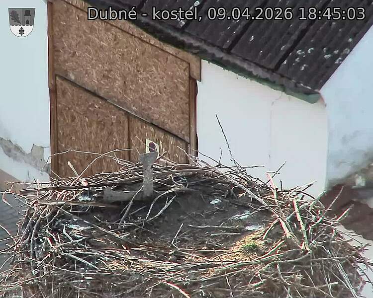 Capi_Dubne_20260409_184503.jpg (1350&nbsp;x&nbsp;1080)