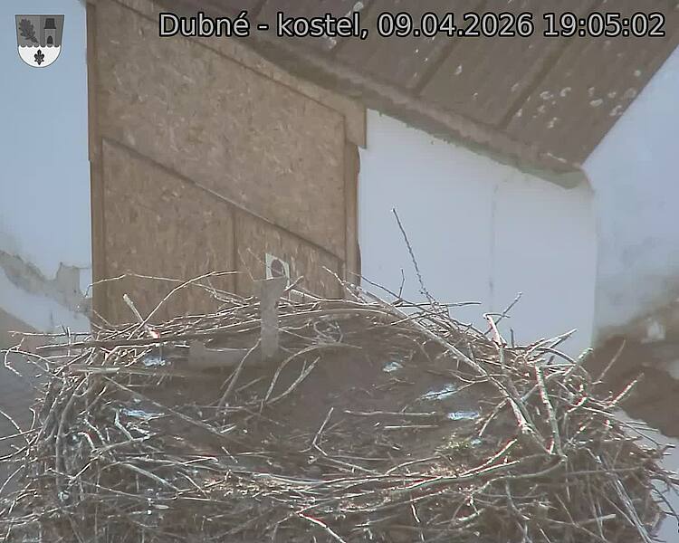 Capi_Dubne_20260409_190502.jpg (1350&nbsp;x&nbsp;1080)