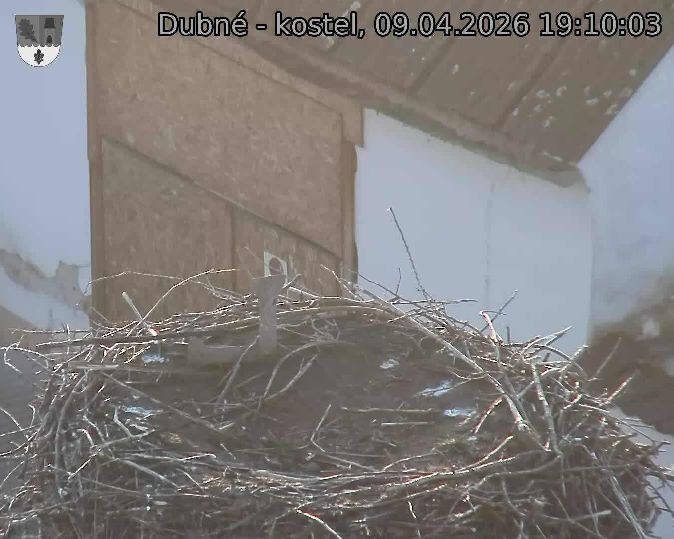 Capi_Dubne_20260409_191003.jpg (1350&nbsp;x&nbsp;1080)