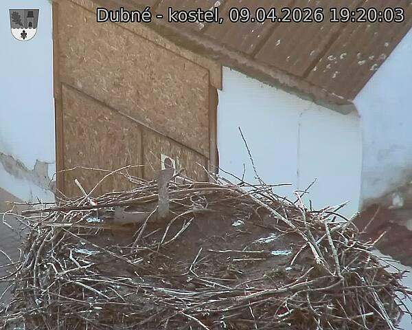 Capi_Dubne_20260409_192003.jpg (1350&nbsp;x&nbsp;1080)