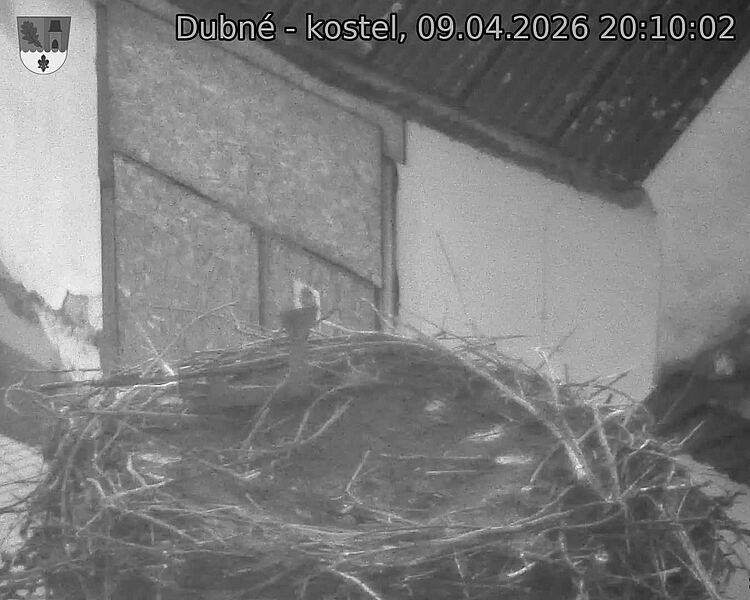 Capi_Dubne_20260409_201002.jpg (1350&nbsp;x&nbsp;1080)