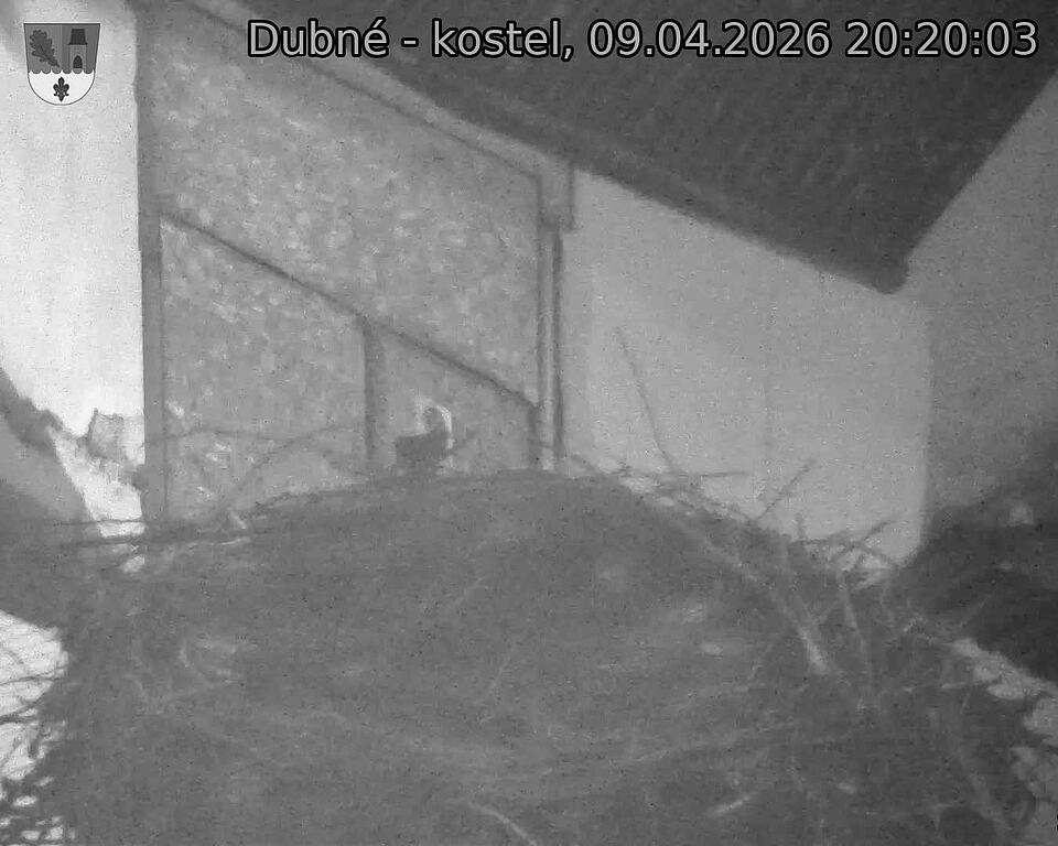Capi_Dubne_20260409_202003.jpg (1350&nbsp;x&nbsp;1080)