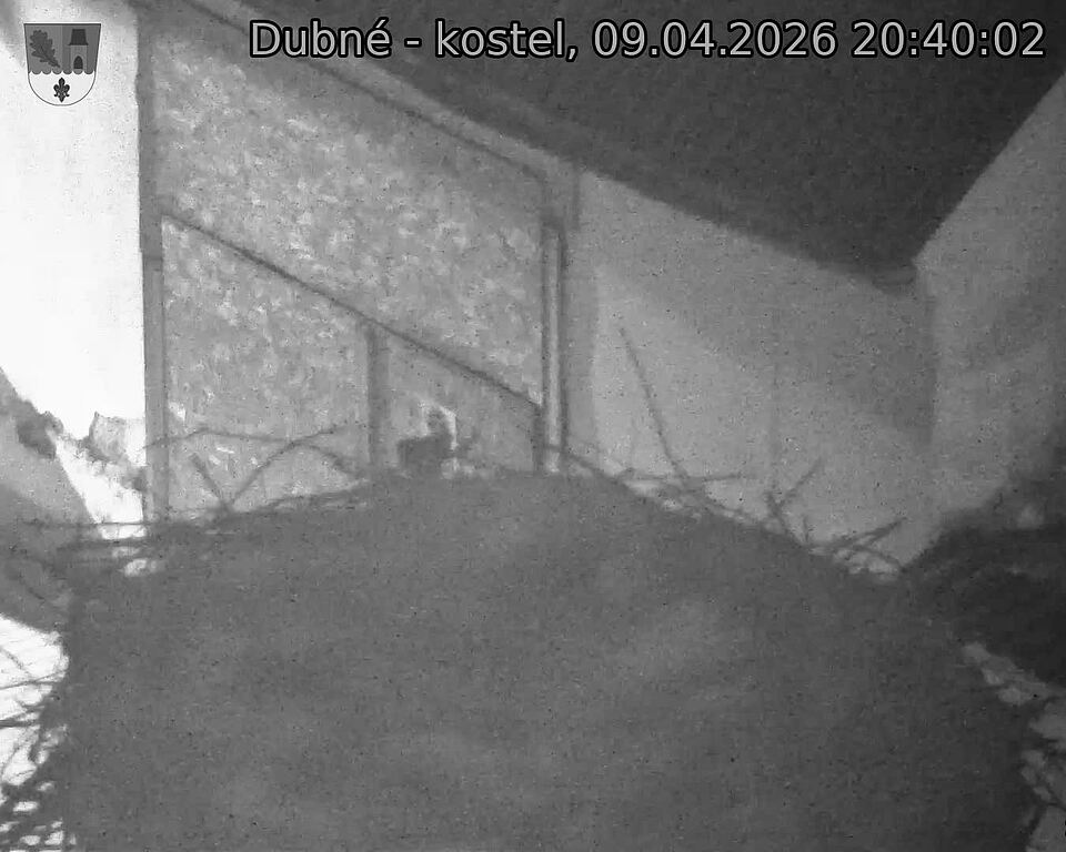 Capi_Dubne_20260409_204002.jpg (1350&nbsp;x&nbsp;1080)