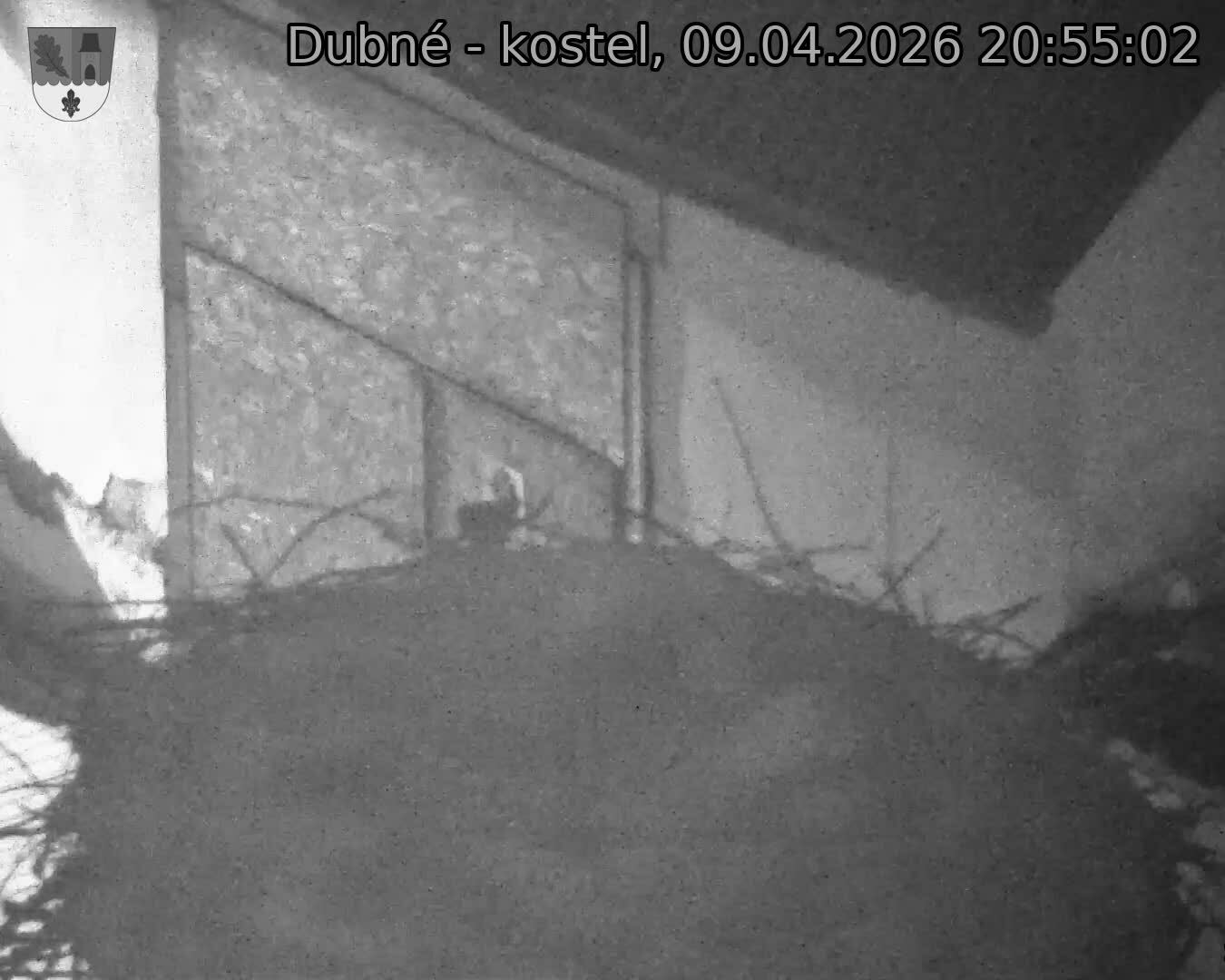 Capi_Dubne_20260409_205502.jpg (1350&nbsp;x&nbsp;1080)