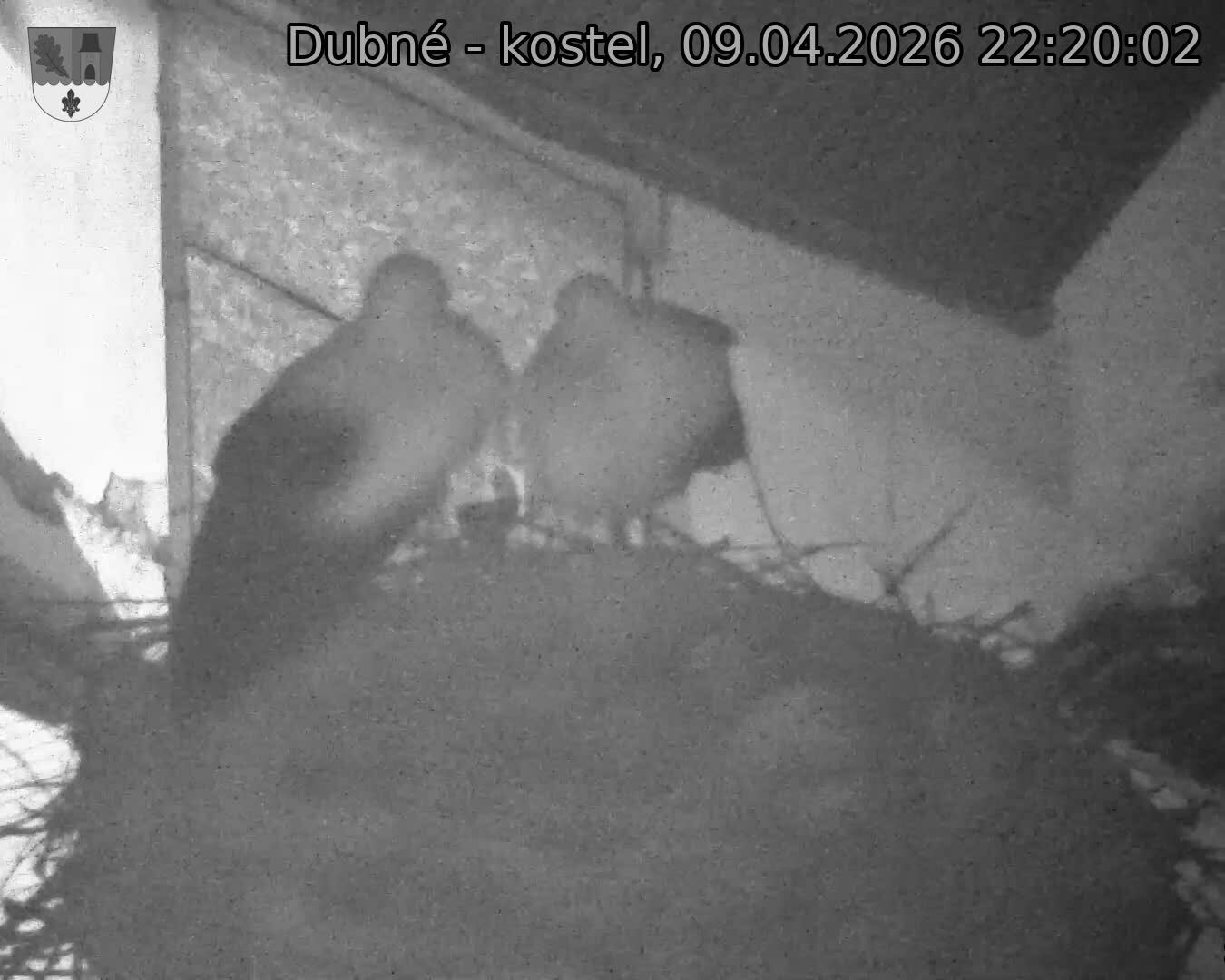 Capi_Dubne_20260409_222002.jpg (1350&nbsp;x&nbsp;1080)