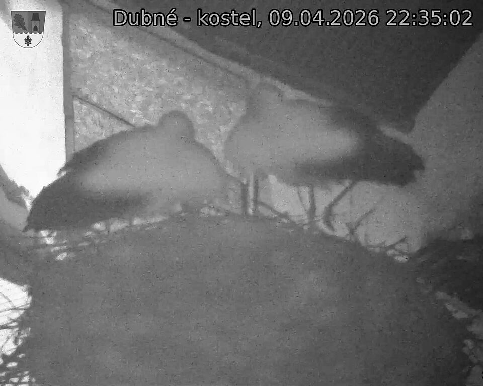 Capi_Dubne_20260409_223502.jpg (1350&nbsp;x&nbsp;1080)